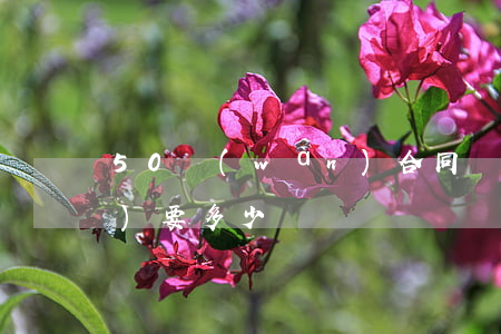 50萬(wàn)合同糾紛訴訟費(fèi)要多少
