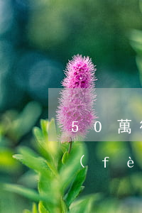50萬律師費(fèi)收多少 北京(律師費(fèi)100萬)