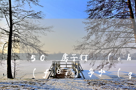 50萬房子打遺產(chǎn)官司律師費(fèi)多少(請(qǐng)律師打遺產(chǎn)官司費(fèi)用怎么算)