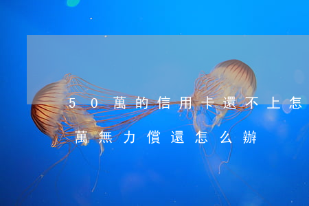 50萬的信用卡還不上怎么辦(欠信用卡50萬無力償還怎么辦)