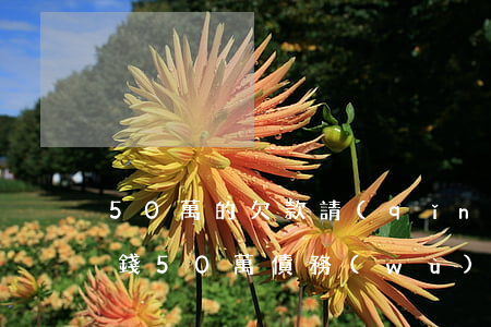 50萬的欠款請(qǐng)律師大約多少錢(50萬債務(wù)律師費(fèi)多少)