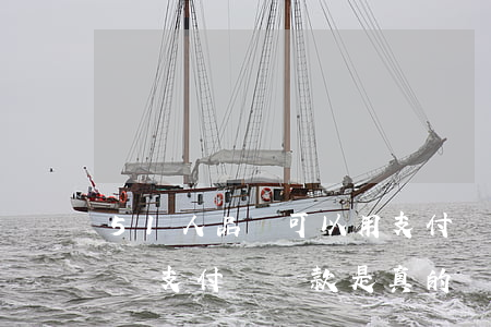 51人品貸可以用支付寶還款嗎-51人品貸支付寶還款是真的嗎