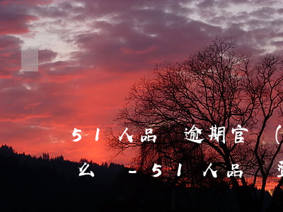 51人品貸逾期官網(wǎng)進不去怎么辦-51人品貸登陸不上去怎么回事