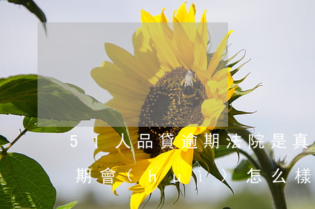 51人品貸逾期法院是真的嗎(51人品貸逾期會(huì)怎么樣)