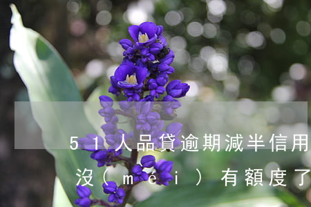 51人品貸逾期減半信用卡額度(51人品貸沒(méi)有額度了)