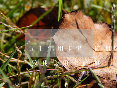 51信用卡借錢逾期(朋友借錢導(dǎo)致我信用卡逾期)