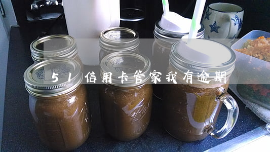 51信用卡管家我有逾期