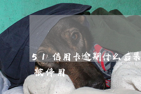 51信用卡逾期什么后果(信用卡逾期60天被停用)