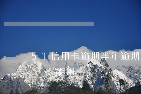 51信用卡逾期半年(逾期半年的信用卡還完錢還能用嗎)