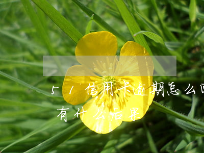 51信用卡逾期怎么回事(51即刻有逾期會有什么后果)