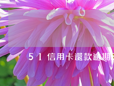 51信用卡還款逾期(51逾期有沒有不還的)