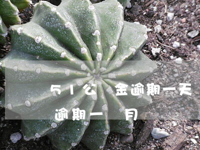 51公積金逾期一天會怎么樣-住房公積金逾期一個月