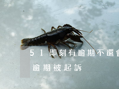 51即刻有逾期不還會被起訴嗎（51信用貨逾期被起訴）
