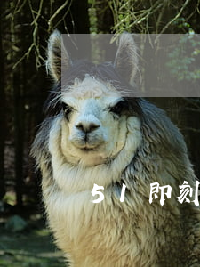 51即刻有逾期會(huì)影響信用卡嗎