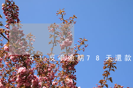 51反唄逾期78天還款