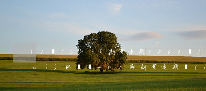 51時(shí)刻有逾期3000會(huì)起訴嗎-51即刻有逾期會(huì)有什么后果