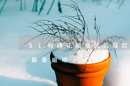 51有錢花逾期怎么還款(有錢花逾期15天嚴重逾期)