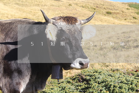 51短期貸款（51短期貸逾期）