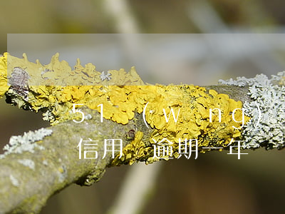 51網(wǎng)貸逾期了還能貸嗎(51信用貸逾期一年)