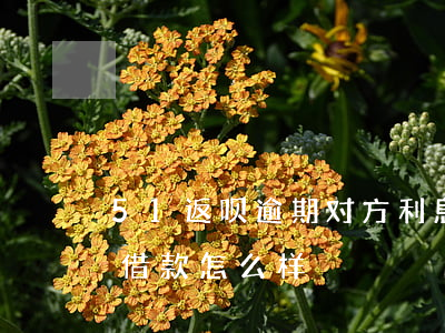 51返呗逾期对方利息高怎么办-51返呗借款怎么样