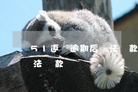 51返唄逾期后無法還款(51返唄逾期后無法還款)