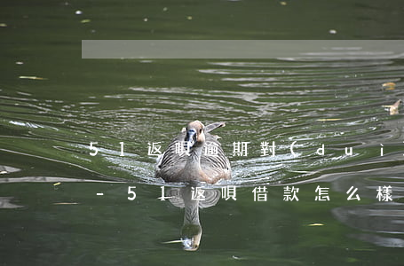 51返唄逾期對(duì)方利息高怎么辦-51返唄借款怎么樣