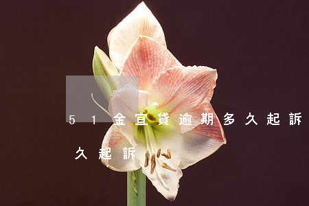 51金宜貸逾期多久起訴(51金宜貸逾期多久起訴)