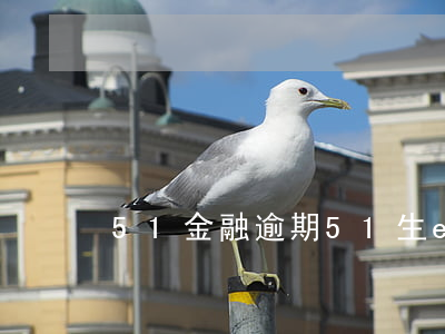 51金融逾期（51生e金逾期起訴）