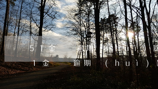51金魚貸逾期會(huì)暴力催收么（51金魚貸逾期會(huì)暴力催收么）