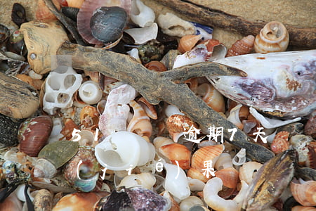 51閃電貸逾期7天(閃電貸15分鐘還沒結(jié)果)