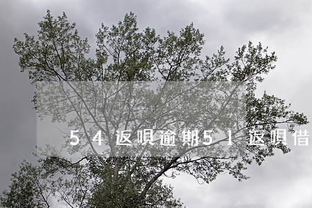 54返唄逾期 51返唄借款怎么樣