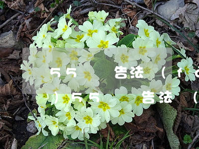 55條廣告法發(fā)多少錢(qián)(55條廣告法發(fā)多少錢(qián))