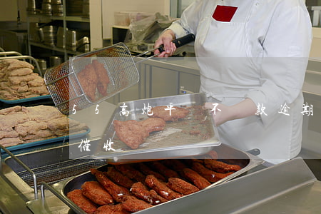 55高炮平臺不還款逾期(55高炮逾期沒人催收)