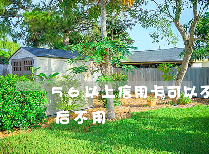56以上信用卡可以不還嗎(信用卡65歲以后不用還)