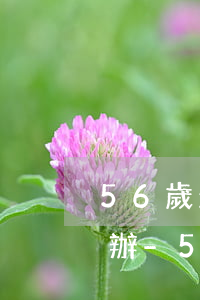 56歲欠十幾萬(wàn)貸款還不起怎么辦-56歲欠十幾萬(wàn)貸款還不起怎么辦呢