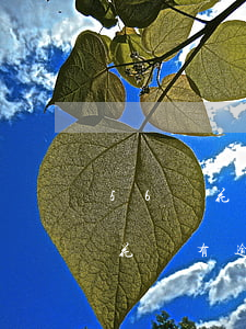 56歲花唄有逾期還能辦信用卡嗎-56歲花唄有逾期還能辦信用卡嗎知乎