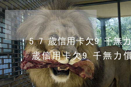 57歲信用卡欠9千無力償還怎么弄-57歲信用卡欠9千無力償還怎么弄回來
