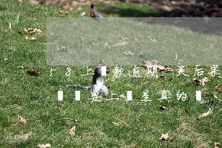 58上貸款逾期一天后果(58借款逾期幾百塊說要上門是真的嗎)