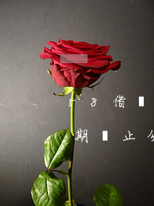 58借錢(qián)預(yù)期（58逾期終止分期）