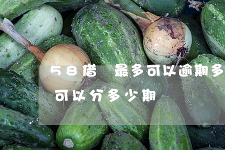 58借錢最多可以逾期多久-58借錢最長可以分多少期