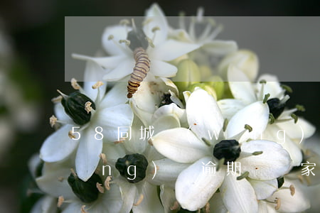 58同城網(wǎng)貸逾期家訪(網(wǎng)貸逾期騷擾家人)