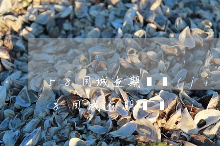 58同城逾期凍結(jié)資金怎么辦(58同城逾期凍結(jié)資金怎么辦理)
