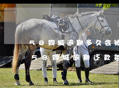 58同城逾期多久会被起诉每个月还700，58同城逾期还款：每月700元，逾期多久会面临被起诉的风险？