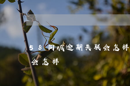 58同城逾期失联会怎样(58同城逾期失联会怎样)