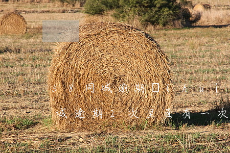 58同城逾期會(huì)上征信嗎(58同城逾期2次,里面有一次的錢(qián),怎么還不了)
