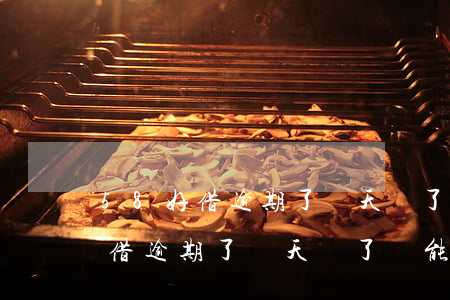 58好借逾期了幾天還了還能借嗎-58好借逾期了幾天還了還能借嗎