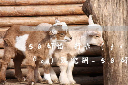 58好借銀行卡結(jié)算時間導(dǎo)致逾期-58好借銀行卡結(jié)算時間導(dǎo)致逾期怎么辦