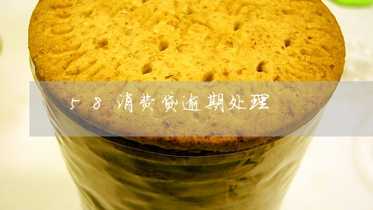 58消费贷逾期处理