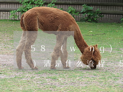 58網(wǎng)貸逾期減免結(jié)清是什么流程-58網(wǎng)貸逾期減免結(jié)清是什么流程啊