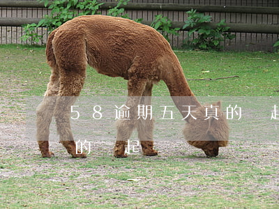 58逾期五天真的會起訴嗎(58逾期五天真的會起訴嗎)